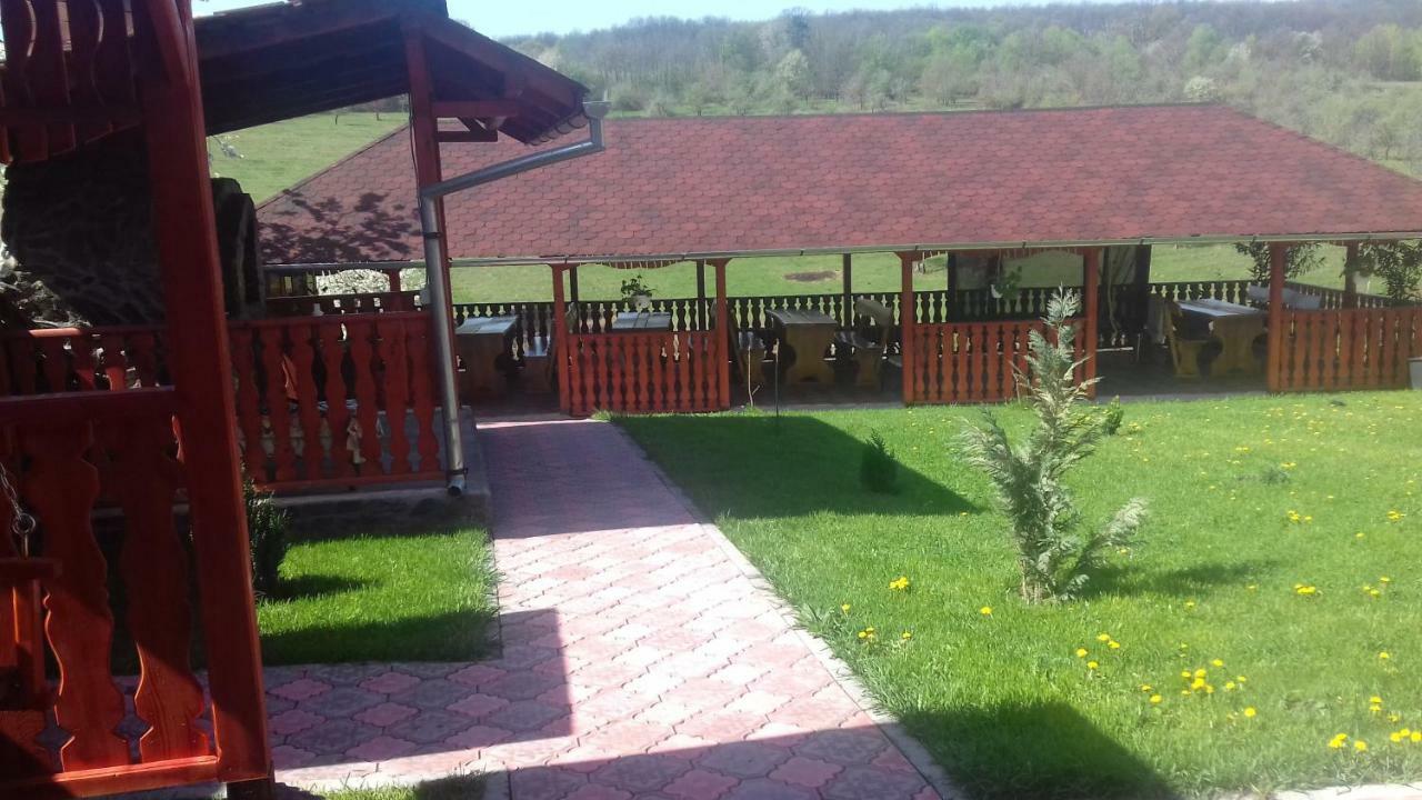 Hotel Casa Leonardo Haţeg Exterior foto