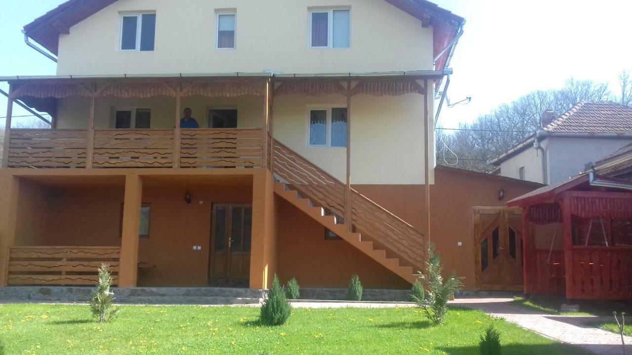 Hotel Casa Leonardo Haţeg Exterior foto
